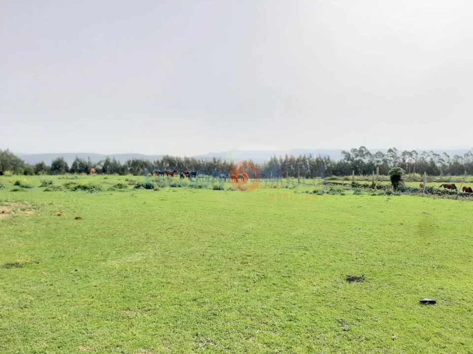 Quinta T3 para Venda em Ribeira de Fraguas Foto 21