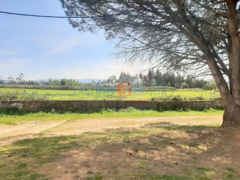 Quinta T3 para Venda em Ribeira de Fraguas Foto 9