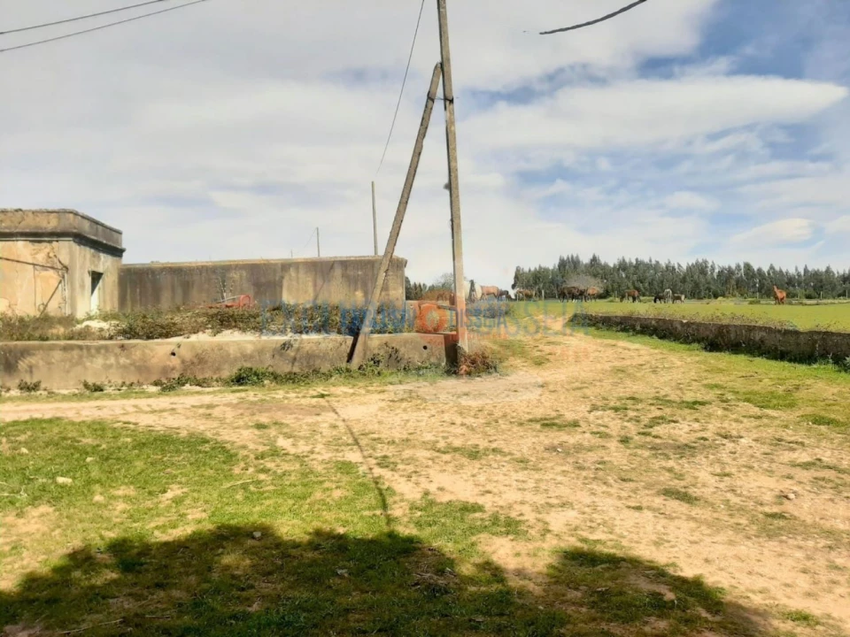 Quinta T3 para Venda em Ribeira de Fraguas Foto 4