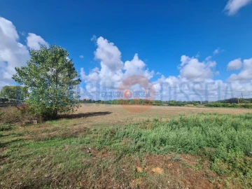 Terreno para Venda em Arcos e Mogofores