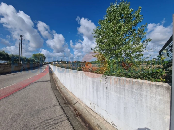 Terreno para Venda em Arcos e Mogofores Foto 5