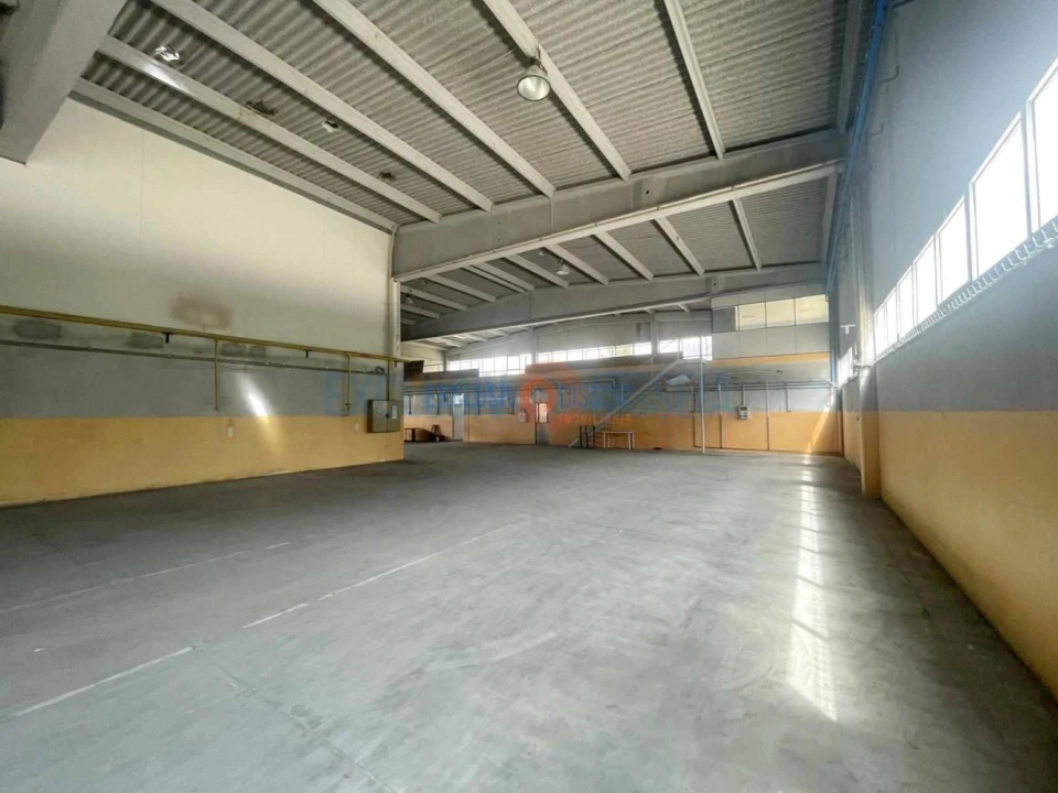 Loja para Venda em Pampilhosa Foto 12