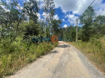 Terreno para Venda em Bustos, Troviscal e Mamarrosa