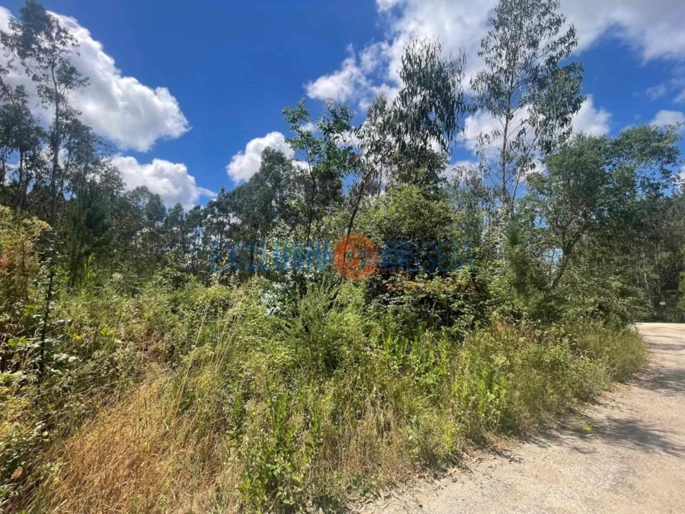 Terreno para Venda em Bustos, Troviscal e Mamarrosa Foto 7