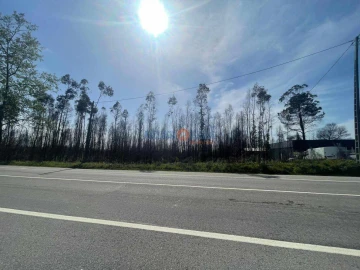 Terreno para Venda em Albergaria-A-Velha e Valmaior