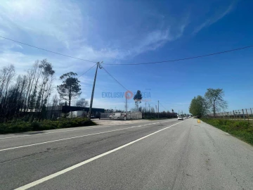 Terreno para Venda em Albergaria-A-Velha e Valmaior