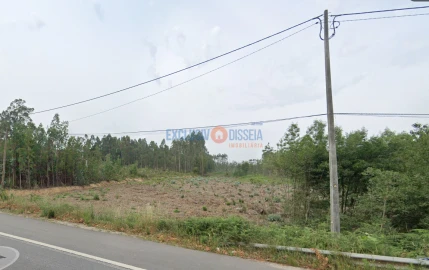 Terreno para Venda em Albergaria-A-Velha e Valmaior