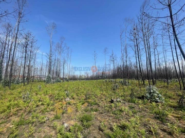 Terreno para Venda em Albergaria-A-Velha e Valmaior