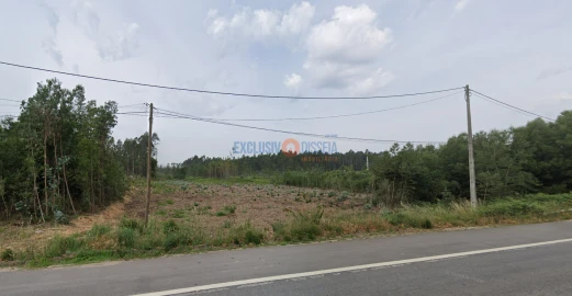 Terreno para Venda em Albergaria-A-Velha e Valmaior