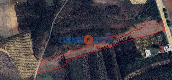 Terreno para Venda em Albergaria-A-Velha e Valmaior