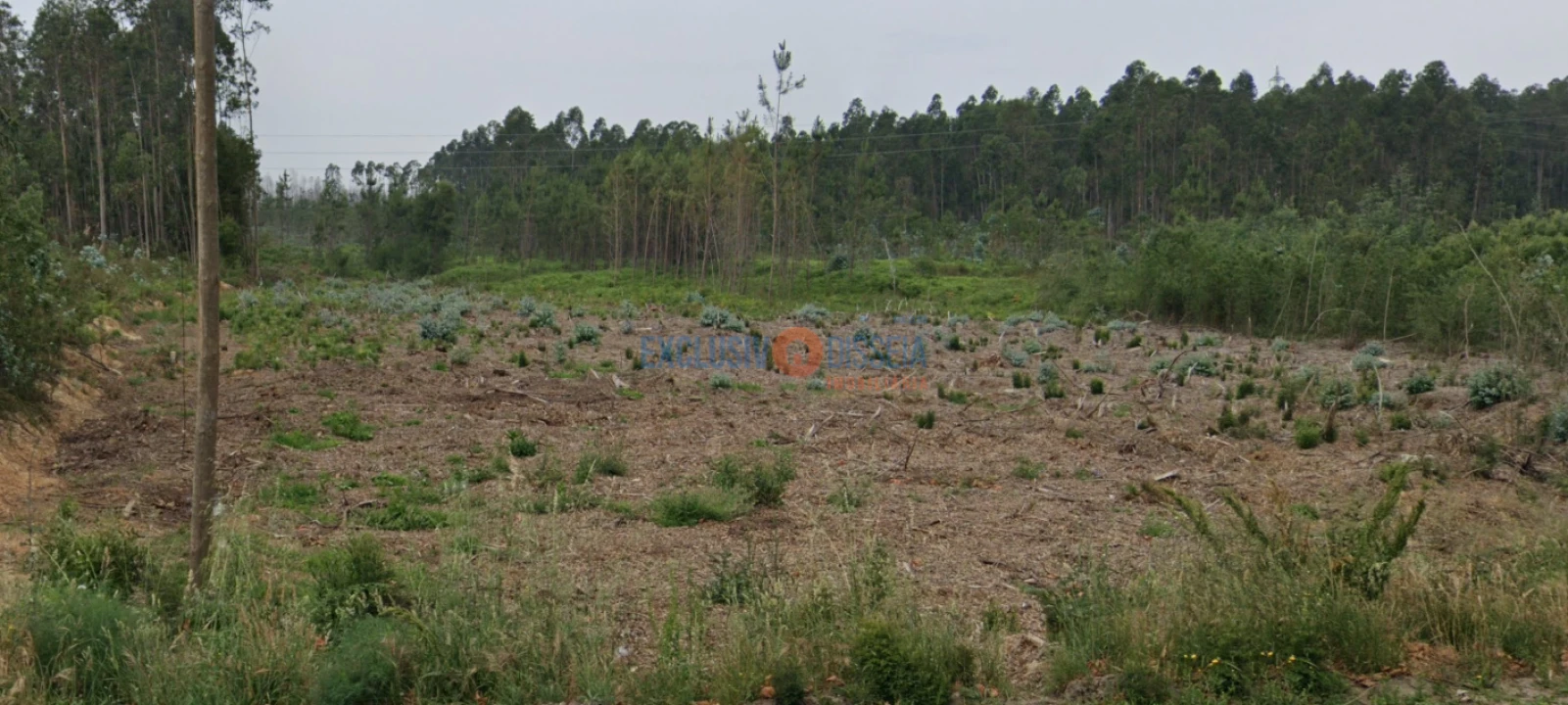 Terreno para Venda em Albergaria-A-Velha e Valmaior Foto 13