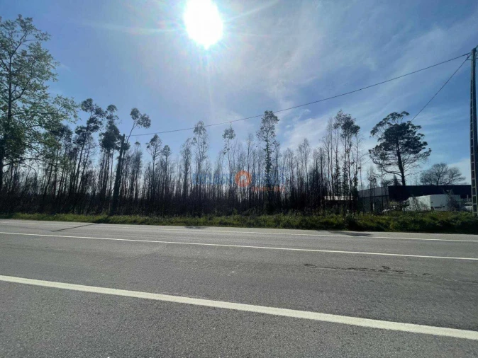 Terreno para Venda em Albergaria-A-Velha e Valmaior Foto 9