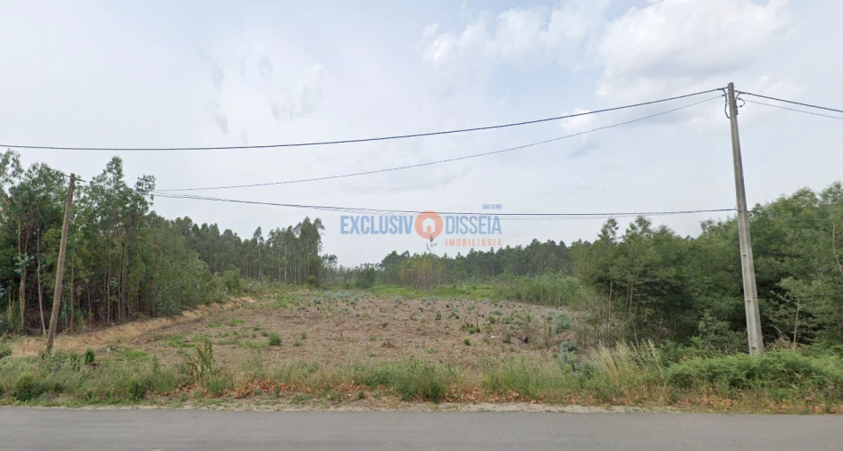 Terreno para Venda em Albergaria-A-Velha e Valmaior Foto 11