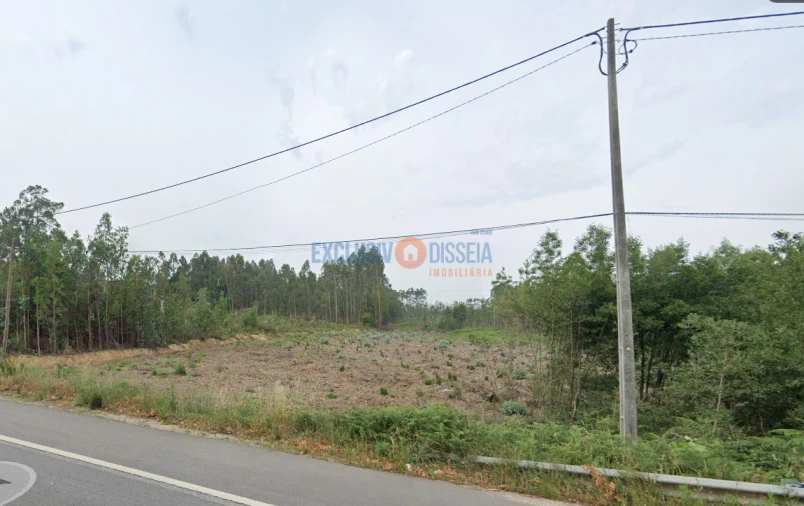 Terreno para Venda em Albergaria-A-Velha e Valmaior Foto 12