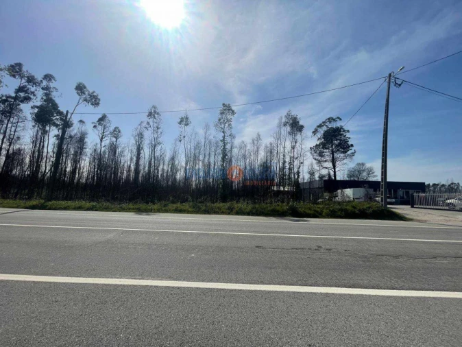 Terreno para Venda em Albergaria-A-Velha e Valmaior
