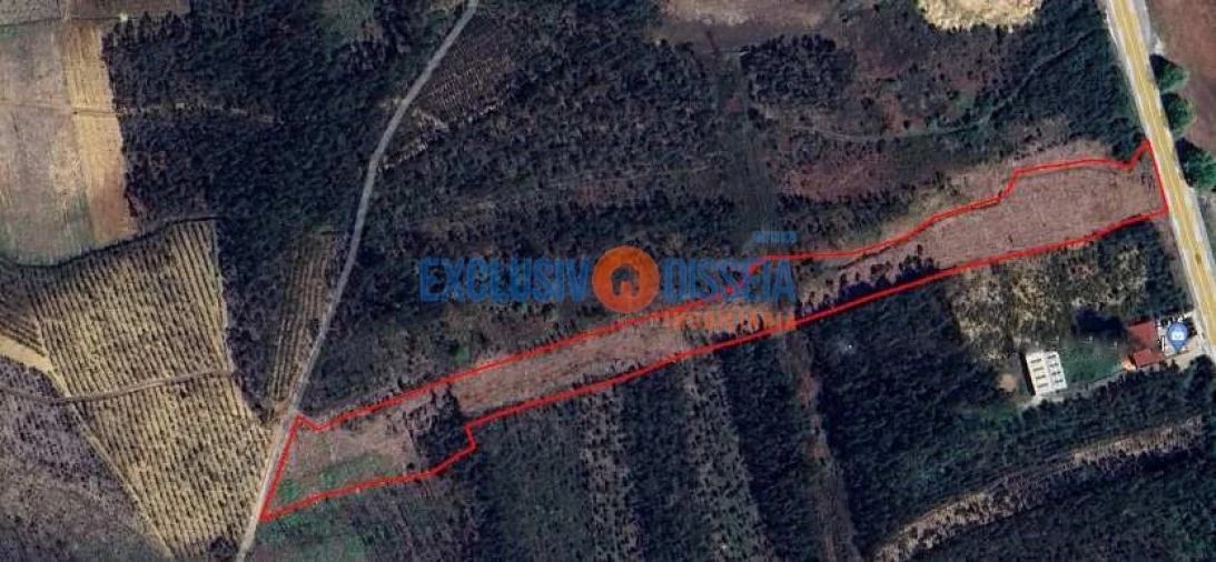 Terreno para Venda em Albergaria-A-Velha e Valmaior Foto 10