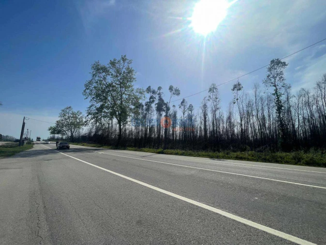 Terreno para Venda em Albergaria-A-Velha e Valmaior Foto 8