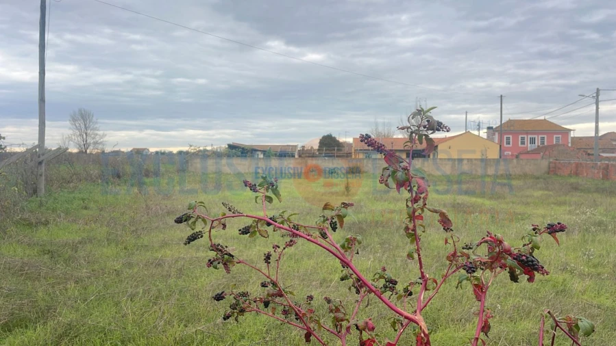 Terreno para Venda em Beduído e Veiros Foto 5