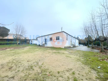 Loja para Venda em Oliveira do Bairro
