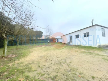 Loja para Venda em Oliveira do Bairro