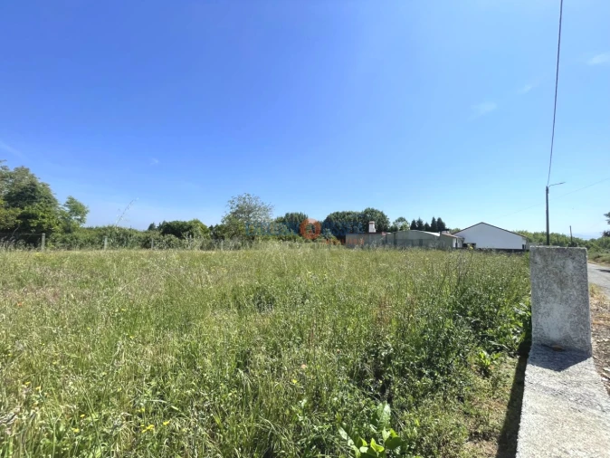 Terreno para Venda em Trofa, Segadães e Lamas do Vouga Foto 3