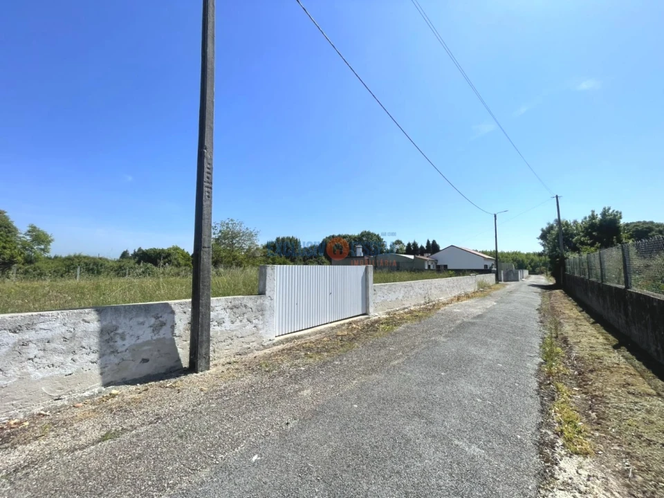 Terreno para Venda em Trofa, Segadães e Lamas do Vouga Foto 4