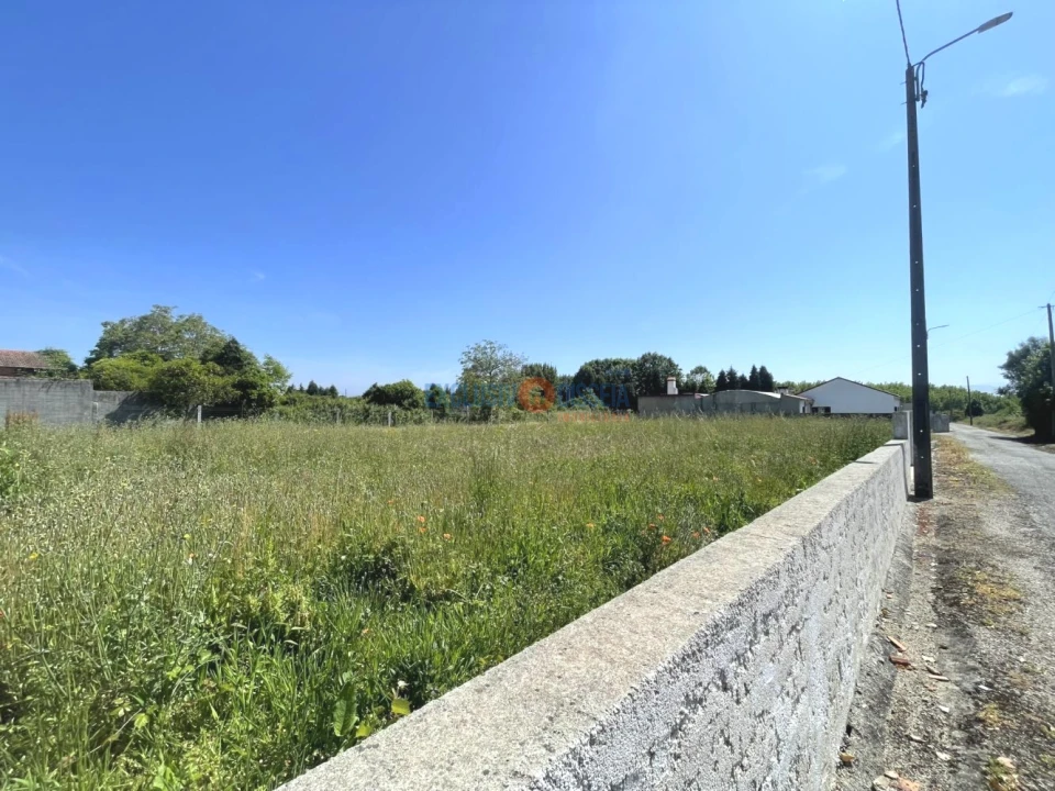 Terreno para Venda em Trofa, Segadães e Lamas do Vouga Foto 5