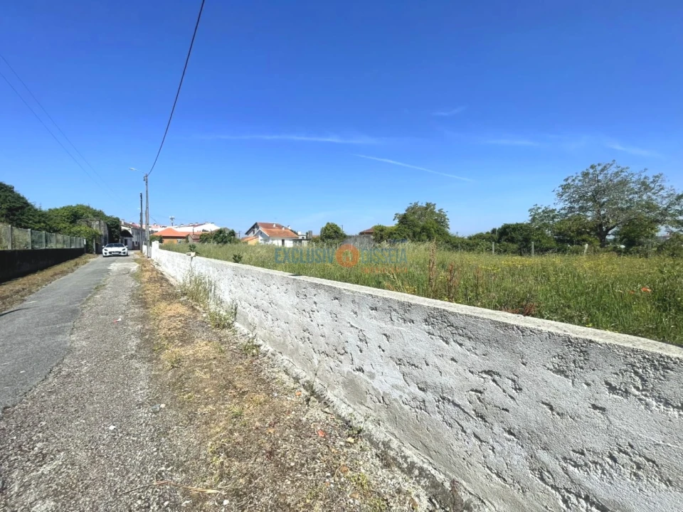 Terreno para Venda em Trofa, Segadães e Lamas do Vouga Foto 8
