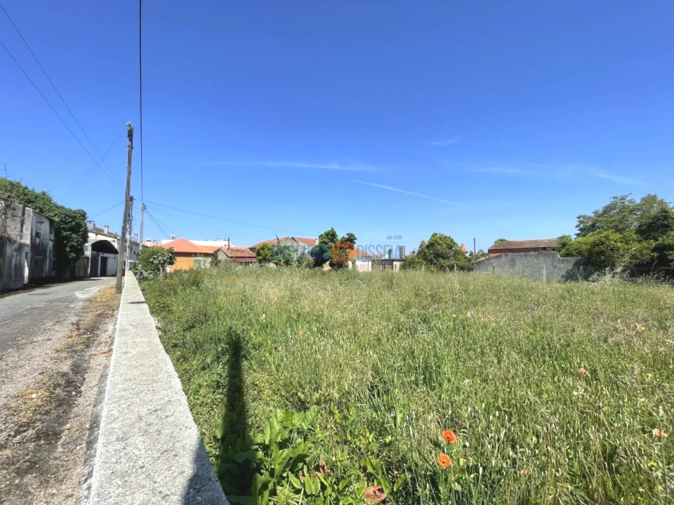 Terreno para Venda em Trofa, Segadães e Lamas do Vouga Foto 6