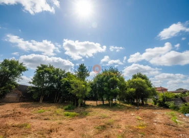 Moradia T3 para Venda em Barrô e Aguada de Baixo