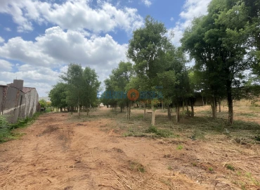 Moradia T3 para Venda em Barrô e Aguada de Baixo