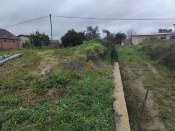 Terreno para Venda em Sever do Vouga
