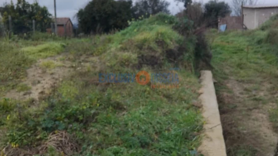 Terreno para Venda em Sever do Vouga