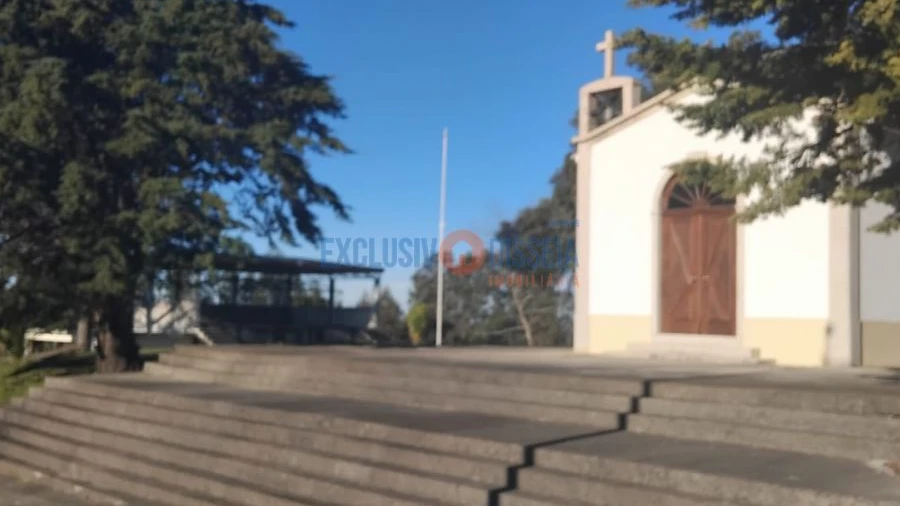 Terreno para Venda em Sever do Vouga
