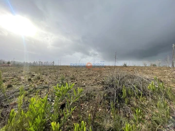 Terreno para Venda em Valongo do Vouga
