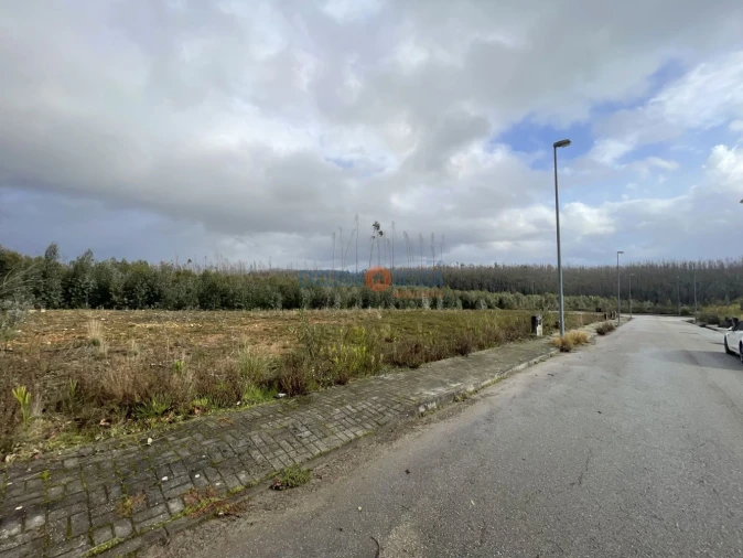 Terreno para Venda em Valongo do Vouga Foto 14