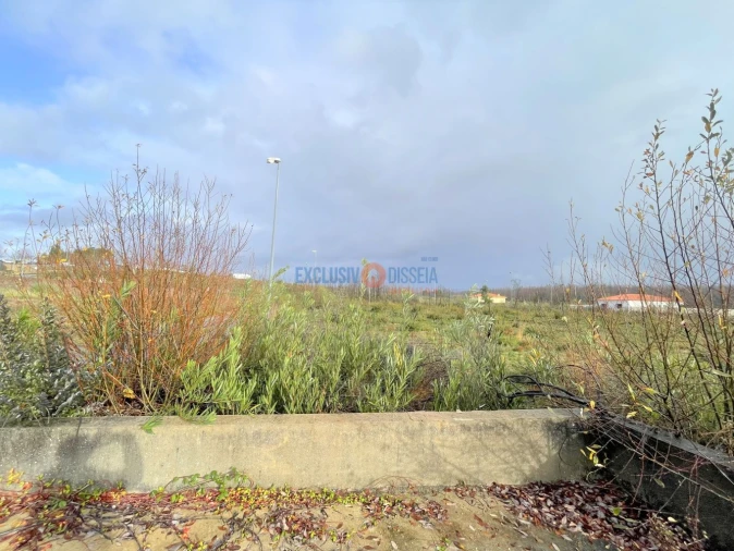 Terreno para Venda em Valongo do Vouga Foto 4