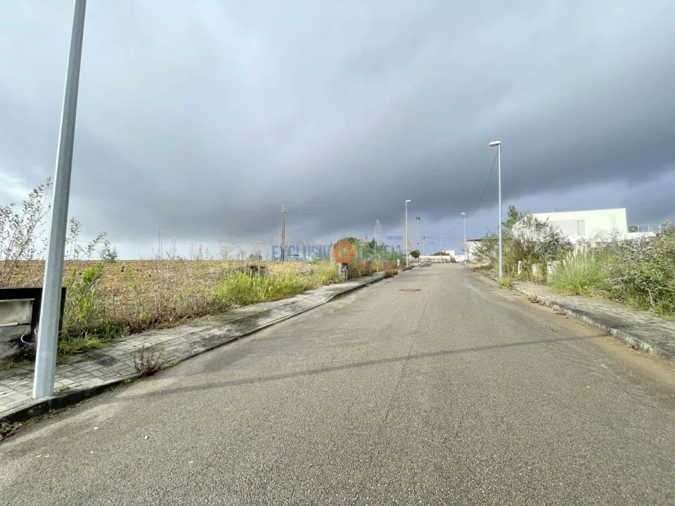 Terreno para Venda em Valongo do Vouga Foto 1