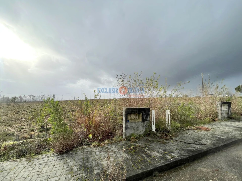 Terreno para Venda em Valongo do Vouga Foto 7