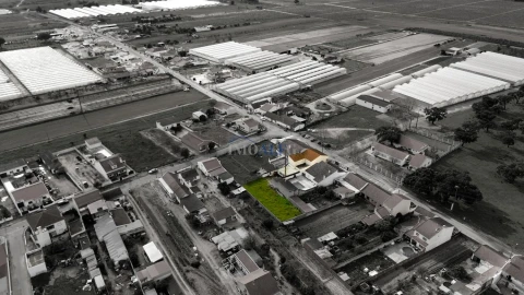 Moradia T3 para Venda em Alpiarça