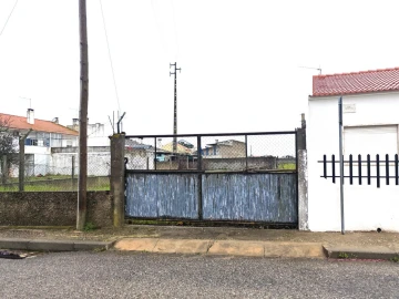 Terreno para Venda em Alpiarça