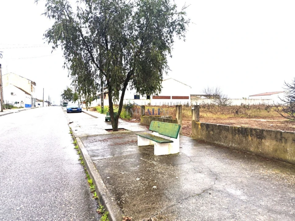 Terreno para Venda em Alpiarça Foto 13