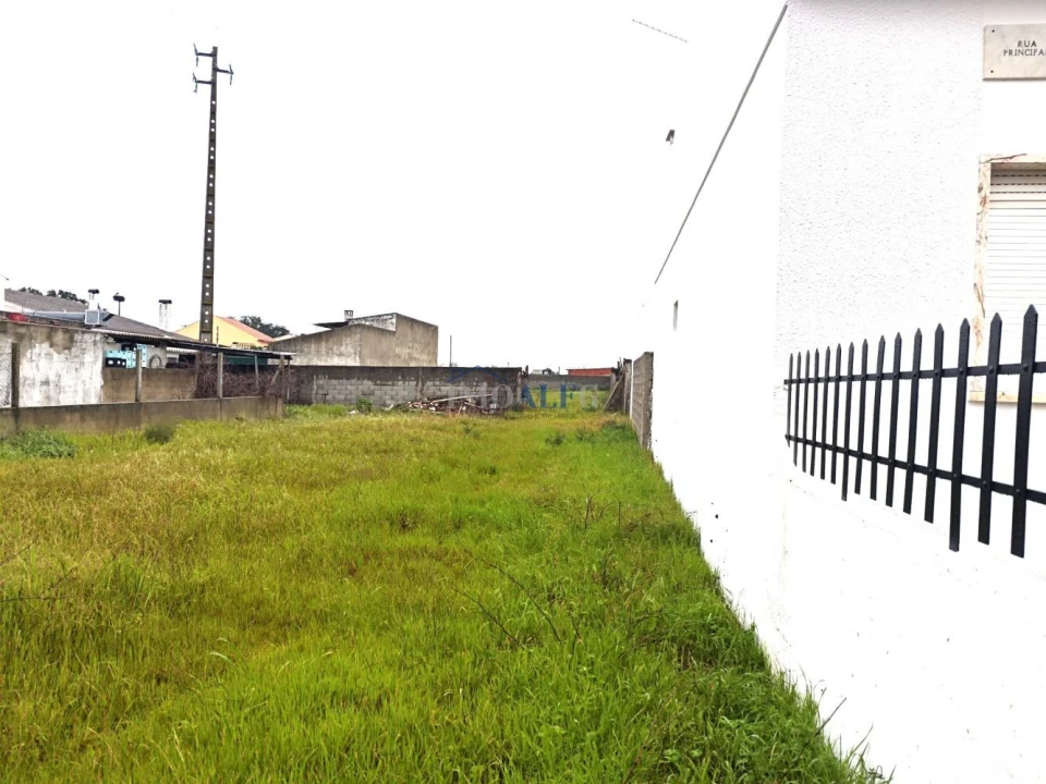 Terreno para Venda em Alpiarça Foto 2