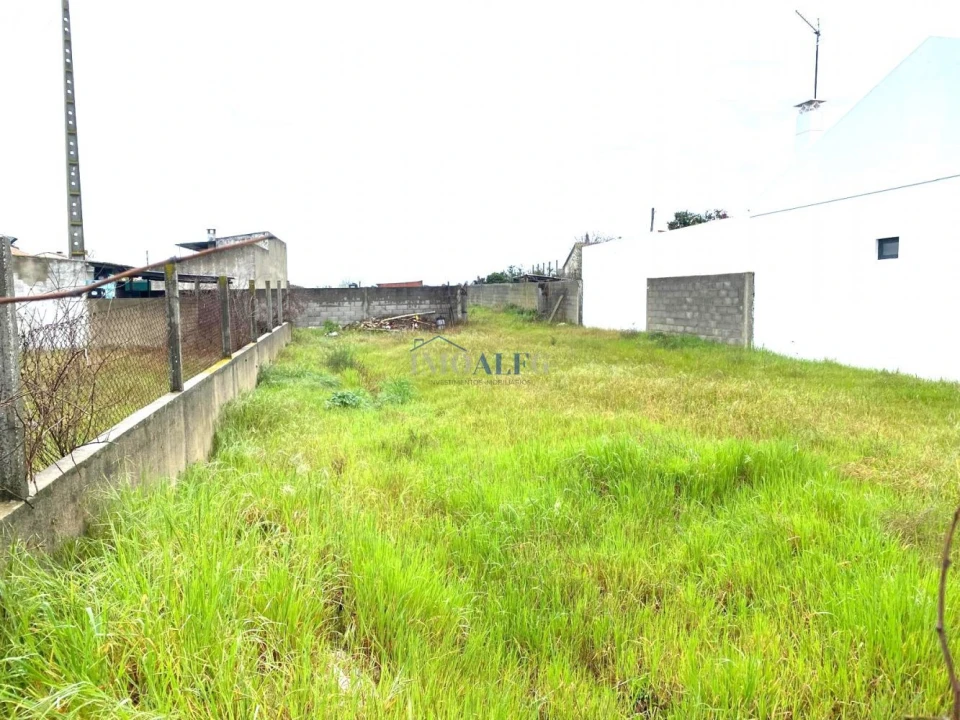 Terreno para Venda em Alpiarça Foto 9