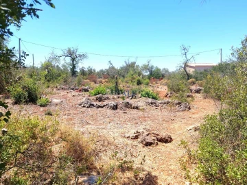Terreno para Venda em Silves