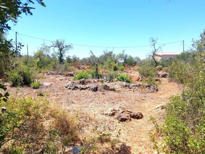 Terreno para Venda em Silves Foto 6