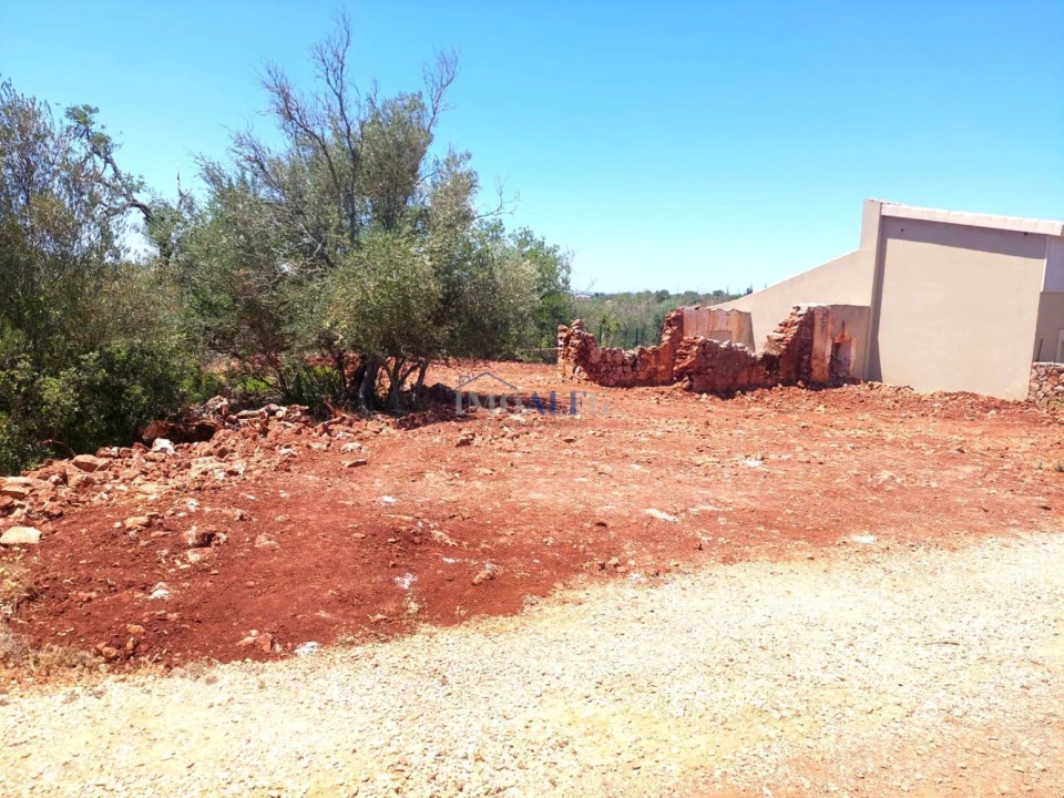 Terreno para Venda em Silves Foto 4