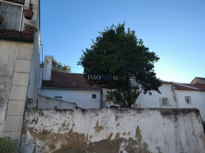 Loja para Venda em Montijo e Afonsoeiro Foto 11