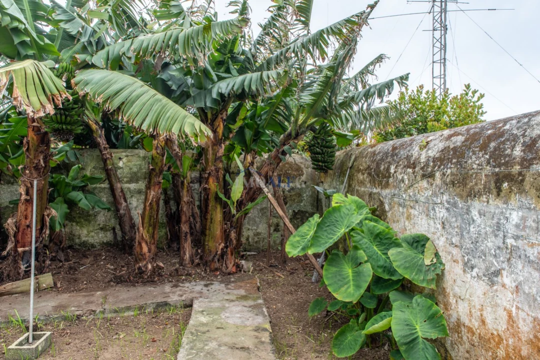 Moradia T4 para Venda em Angra (Santa Luzia) Foto 30