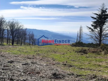 Moradia T1 para Venda em Fiães